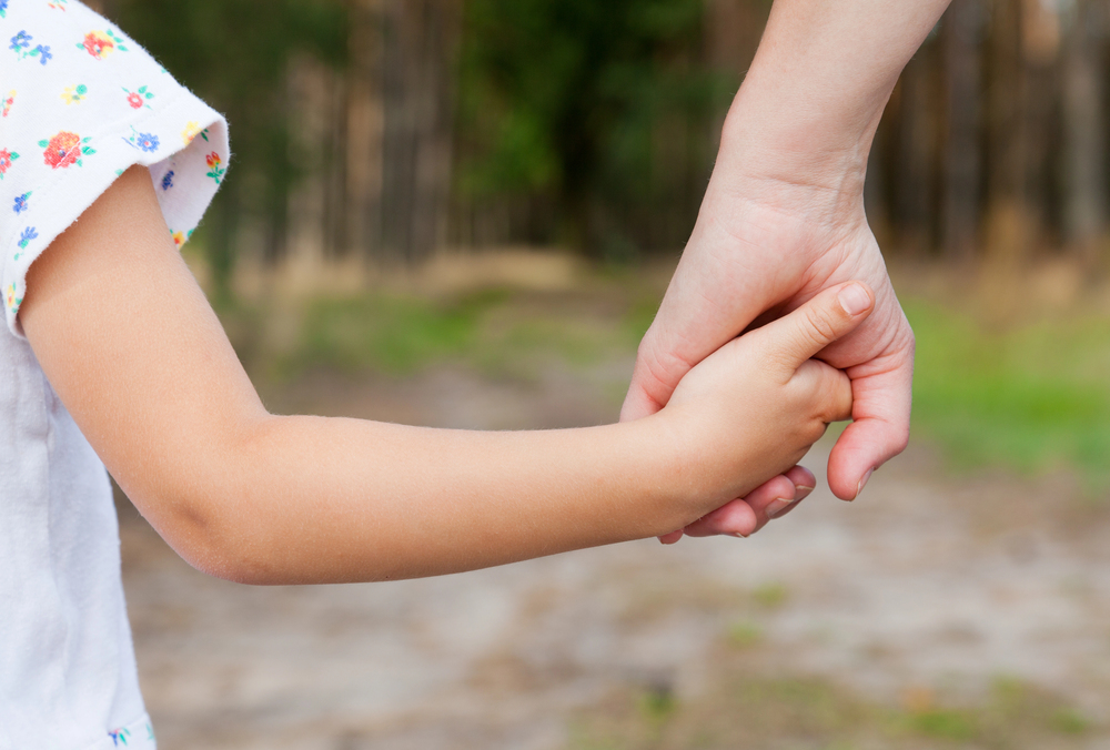 Attorney reviewing child support documents with financial charts